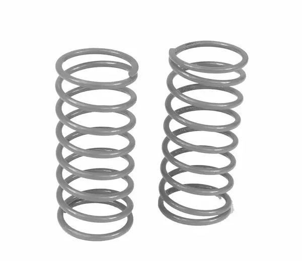 Custom Works 1829 Grey Big Bore Springs - 9 Lbs -  Works With Big Bore Shocks 1855 1