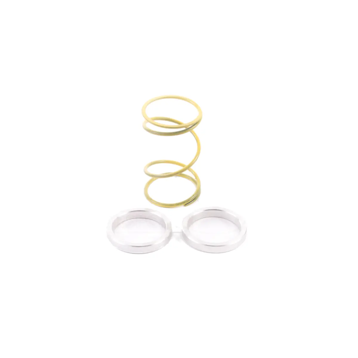 Forge Motorsport Wastegate Springs & Shims 1