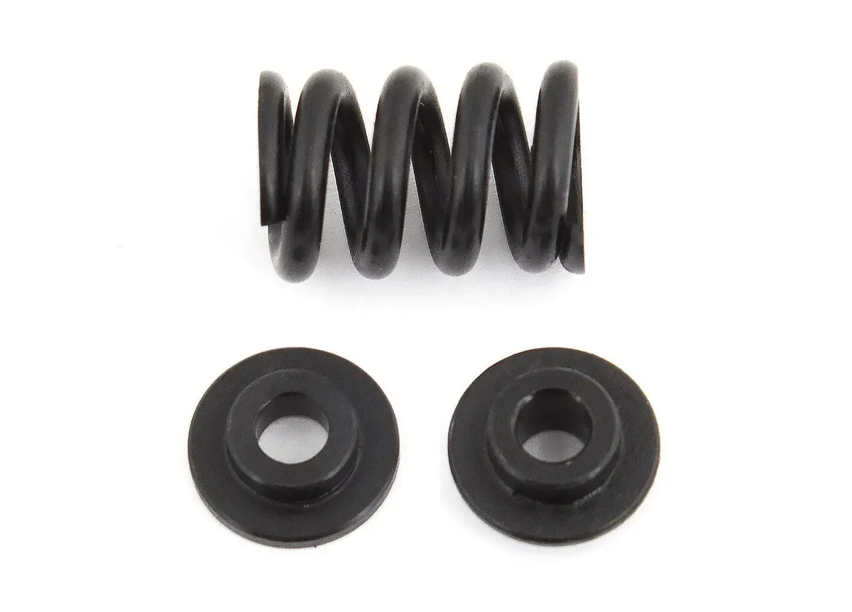 Team Associated 91801 B6.1 Slipper Spring 1